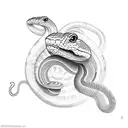 a snake from the roman empire tattoo design idea