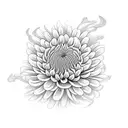 chrysanthemum  tattoo design idea