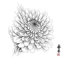 chrysanthemum  tattoo design idea