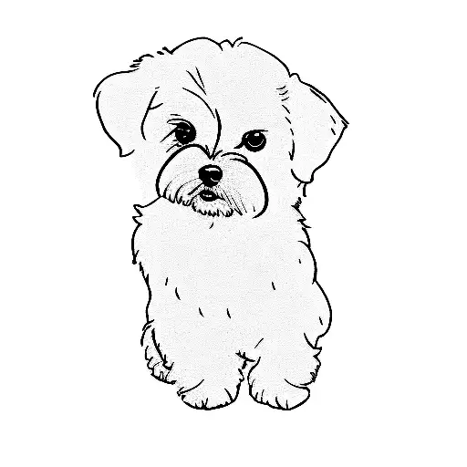 maltese dog tattoo design idea
