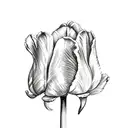 Dutch tulip tattoo design idea