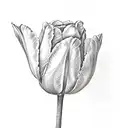 Dutch tulip tattoo design idea