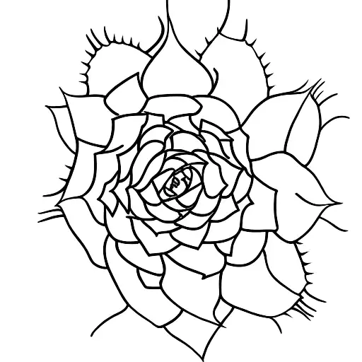 agave plant with 6 leafs tattoo design idea