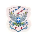 US Air Force Flag  tattoo design idea