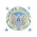 US Air Force Flag  tattoo design idea
