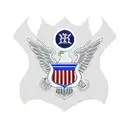 US Air Force Flag  tattoo design idea