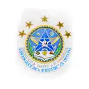 US Air Force Flag  tattoo design idea