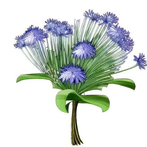 agapanthus tattoo design idea