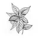 basil leaf  tattoo design idea