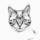 calico cat  tattoo design idea