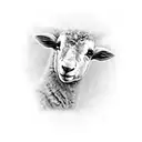 lamb tattoo design idea
