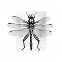 Dragonfly tattoo design idea
