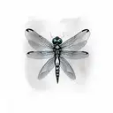 Dragonfly tattoo design idea