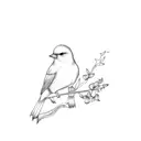 a bird on a branch tattoo design idea