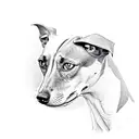 whippet head tattoo design idea