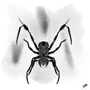 Spider tattoo design idea