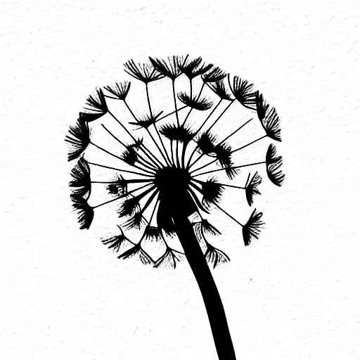 Dandelion plant full stages of development  tattoo design idea