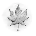 Maple Leaf tattoo design idea