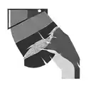 two transparent stripes  tattoo design idea