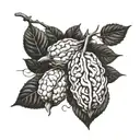 Incorporate brain imagery with cacao pods to symbolize the fusion of neuroscience and chocolate making tattoo design idea