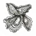 oyster shell  tattoo design idea