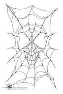 Skull shaped spider web design tattoo design idea