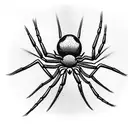 Spider tattoo design idea