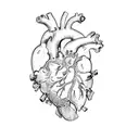 a human heart tattoo design idea