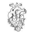 a human heart tattoo design idea