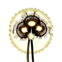 Dandelion tattoo design idea