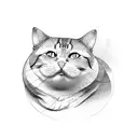 fat cat  tattoo design idea