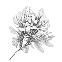 oleander and water hemlock flower  tattoo design idea