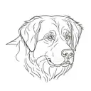 simple, minimalistic contour of Bernese mountain dog head including name "Nox"  tattoo design idea