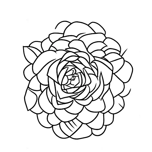 edelweiss flower with stalk and leaves tattoo design idea