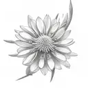 edelweiss flower  tattoo design idea