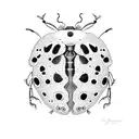 Ladybug tattoo design idea
