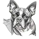 Boston terrier dog tattoo design idea