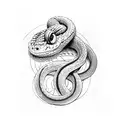 snake and toad and sanil tattoo design idea