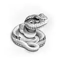 snake with toad tattoo design idea