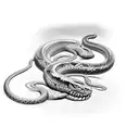 coiled venomous snake preparing to strike tattoo design idea