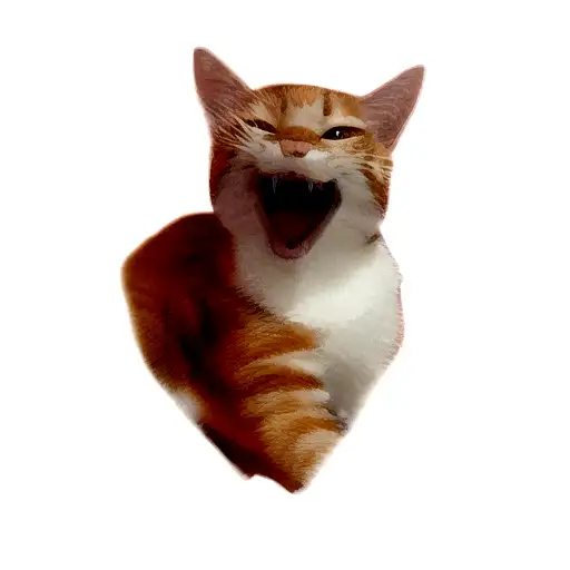 bust of an orange cat snarling, rain in the background tattoo design idea