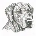rhodesian Ridgeback tattoo design idea
