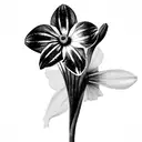 Flower bouquet with a snow drop, daffodil, morning glory, cosmos, Chrysenthemum and a narsissus tattoo design idea