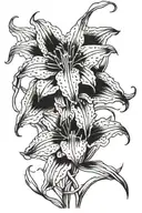 Red spider lilly tattoo design idea