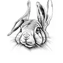 Irish hare  tattoo design idea