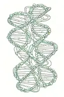 dna strand intertwined tattoo design idea