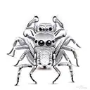 jumping spider tattoo design idea