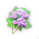 purple Hydrangea with Jimmy Everett  as the stem in cursive tattoo design idea