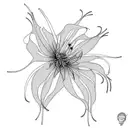 Spider Lily tattoo design idea