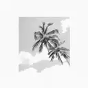 soft clouds that fill out and then fade put the frame with a soft palm tree on the right side tattoo design idea